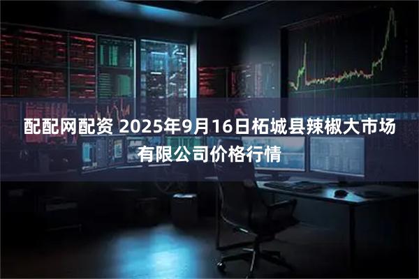 配配网配资 2025年9月16日柘城县辣椒大市场有限公司价格行情