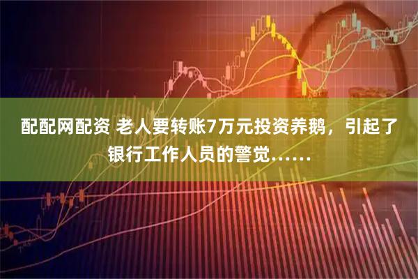 配配网配资 老人要转账7万元投资养鹅，引起了银行工作人员的警觉……