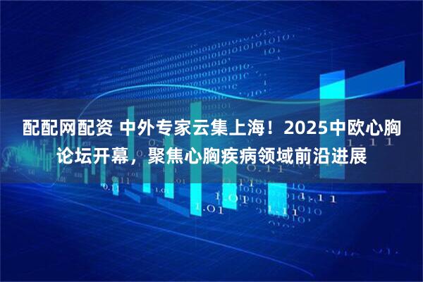配配网配资 中外专家云集上海！2025中欧心胸论坛开幕，聚焦心胸疾病领域前沿进展