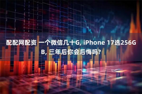配配网配资 一个微信几十G, iPhone 17选256GB, 三年后你会后悔吗?