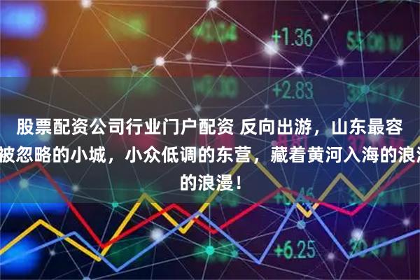 股票配资公司行业门户配资 反向出游，山东最容易被忽略的小城，小众低调的东营，藏着黄河入海的浪漫！