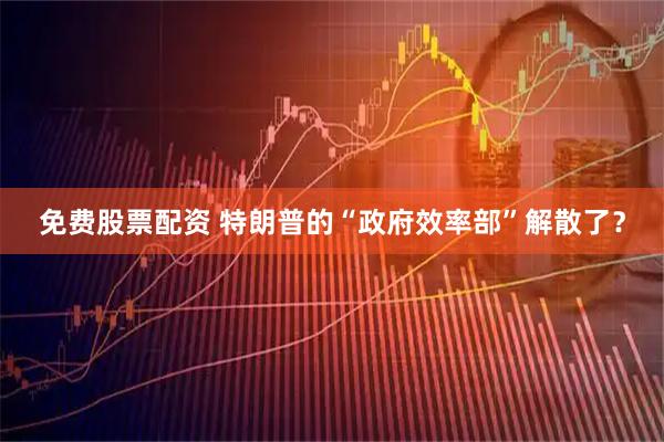 免费股票配资 特朗普的“政府效率部”解散了？