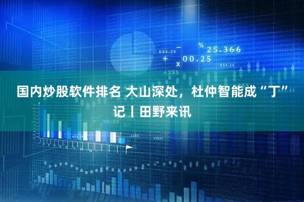 国内炒股软件排名 大山深处，杜仲智能成“丁”记丨田野来讯